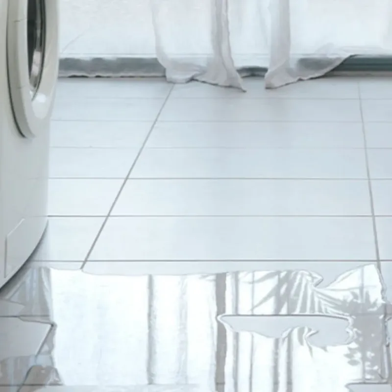 Appliance Leak Cleanup in Garden City, SC