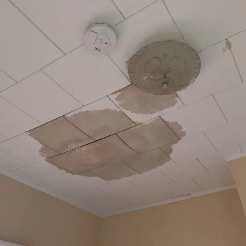 Ceiling Water Damage Repair in Garden City, SC